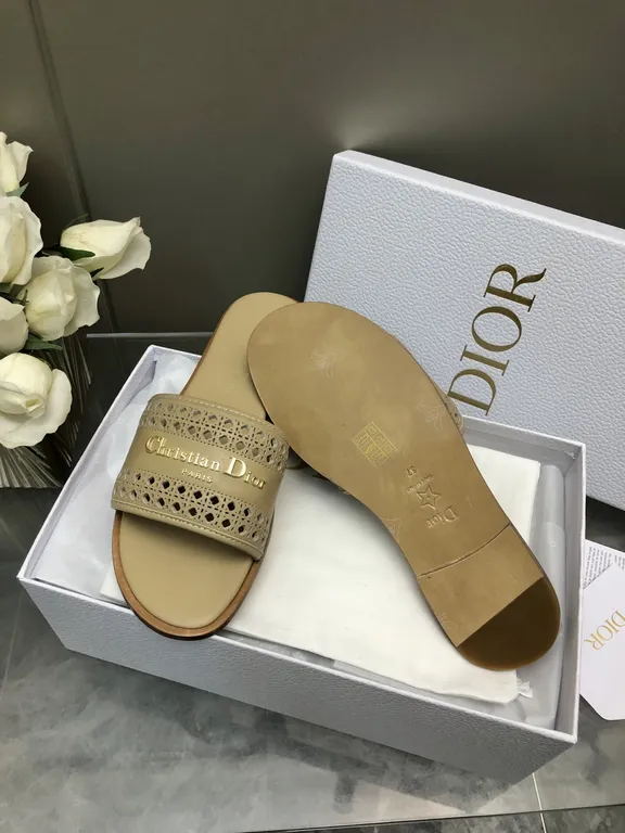 Dior Shoe 